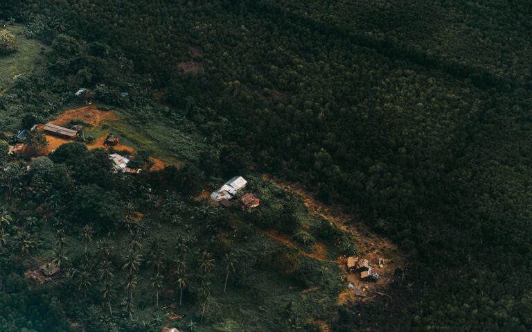 Roundup Lawsuit Settlement Amounts - Featured image