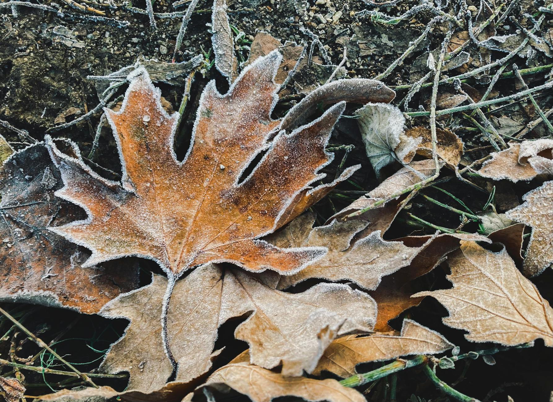 What Changed with the December 2023 Amendment to Rule 702?