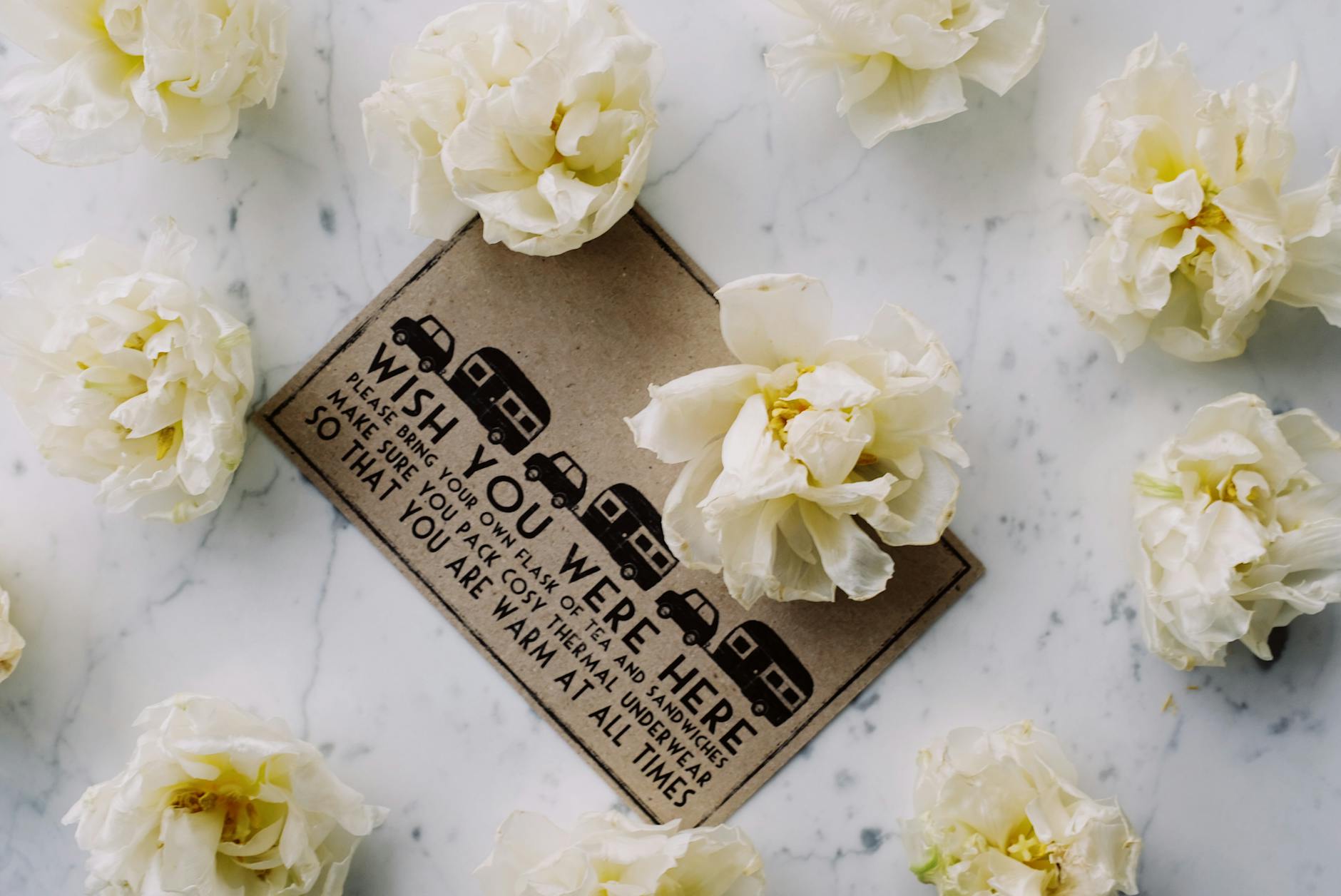 How Many People Were Affected by Fluoroquinolone Prescriptions?