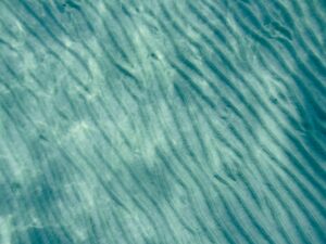 NDMA Contamination Lawsuit - Featured image