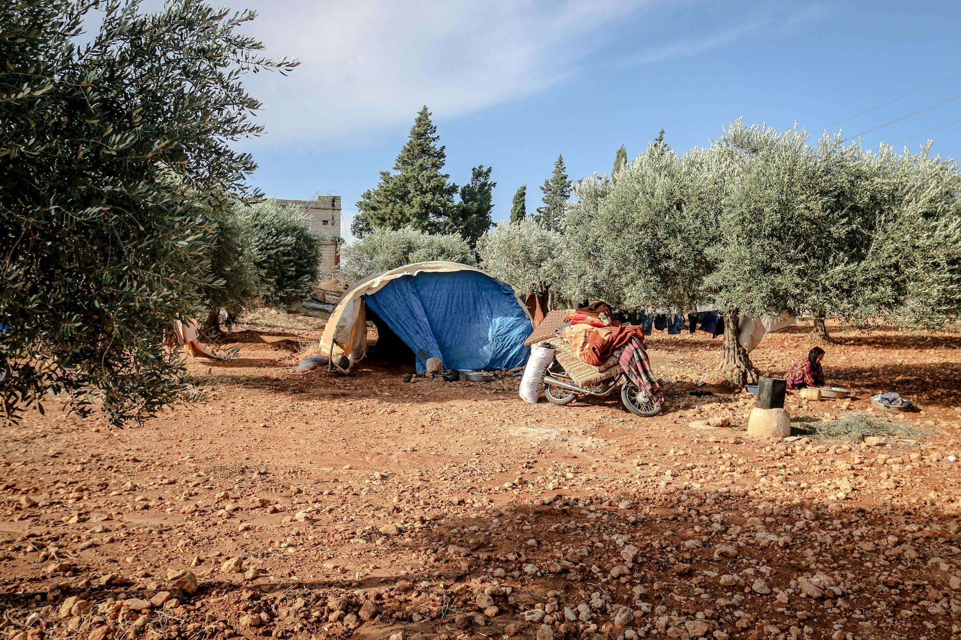 The Settlement Process and Realistic Compensation Expectations