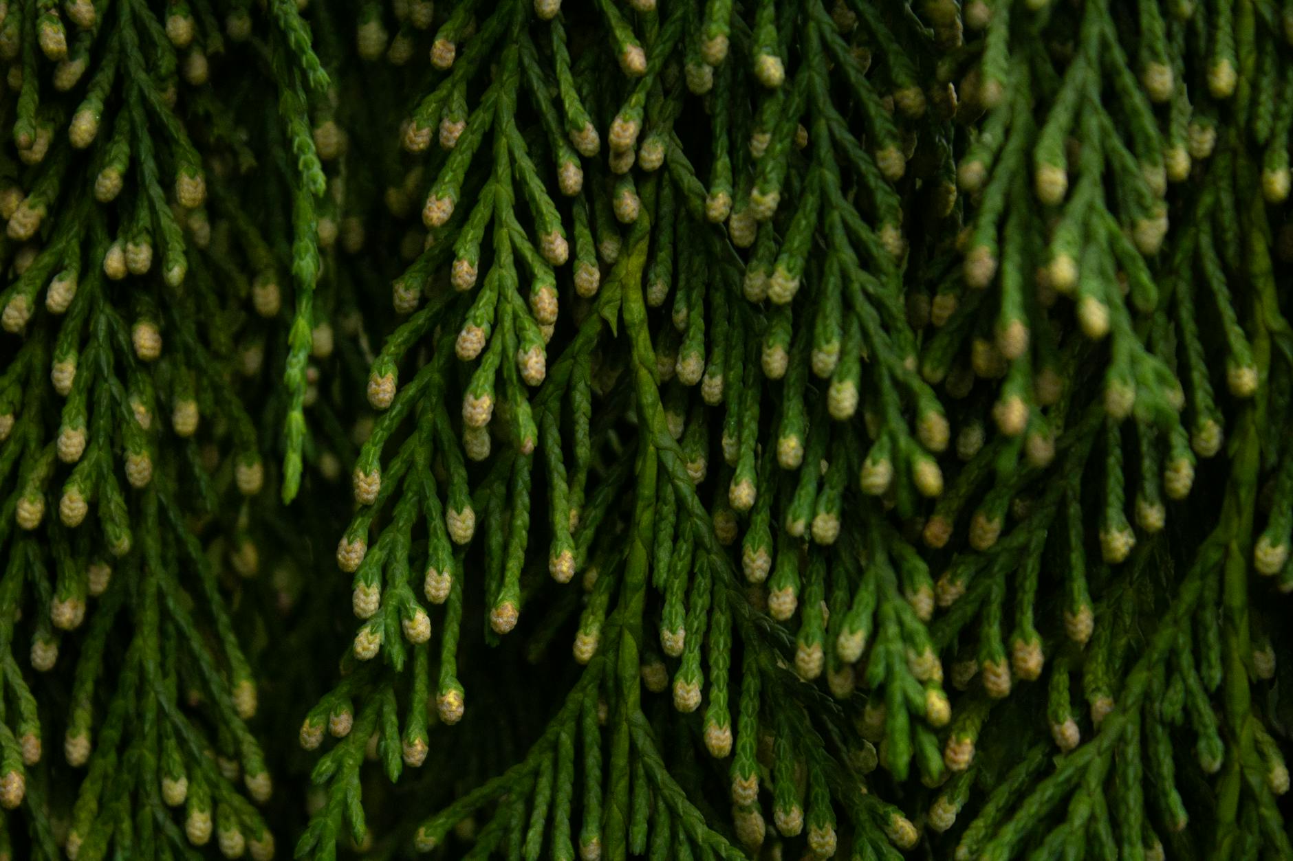 What Is the Depo-Provera Bone Loss Lawsuit and Who Filed It?