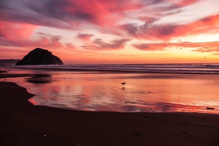 Gig Economy Worker Rights Lawsuit - Featured image