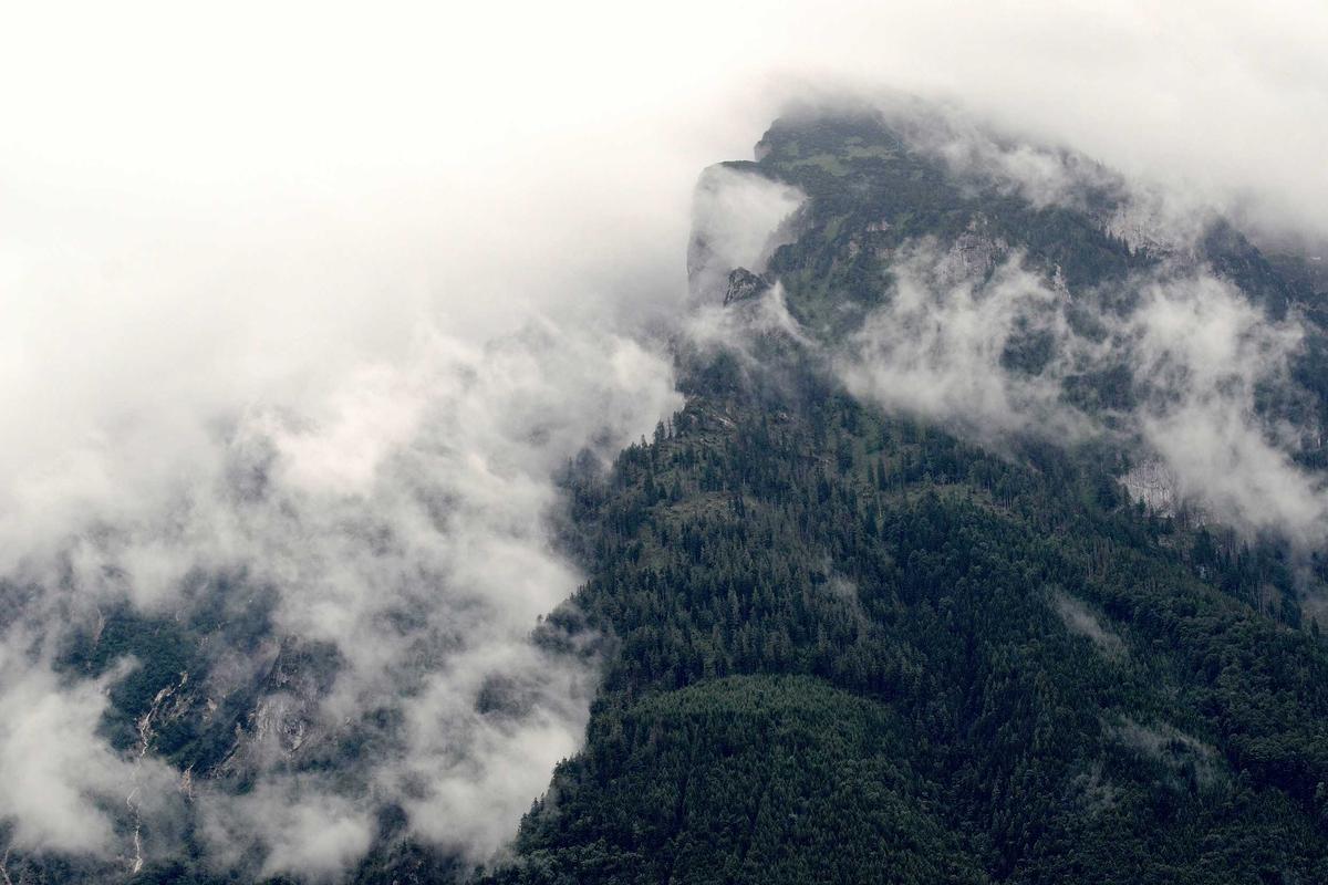 What Are the Specific Allegations and Real-World Examples?