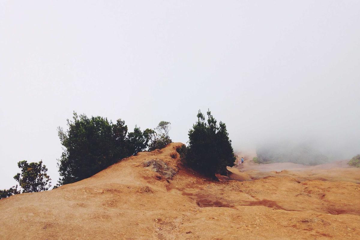 What the Settlements Did NOT Resolve