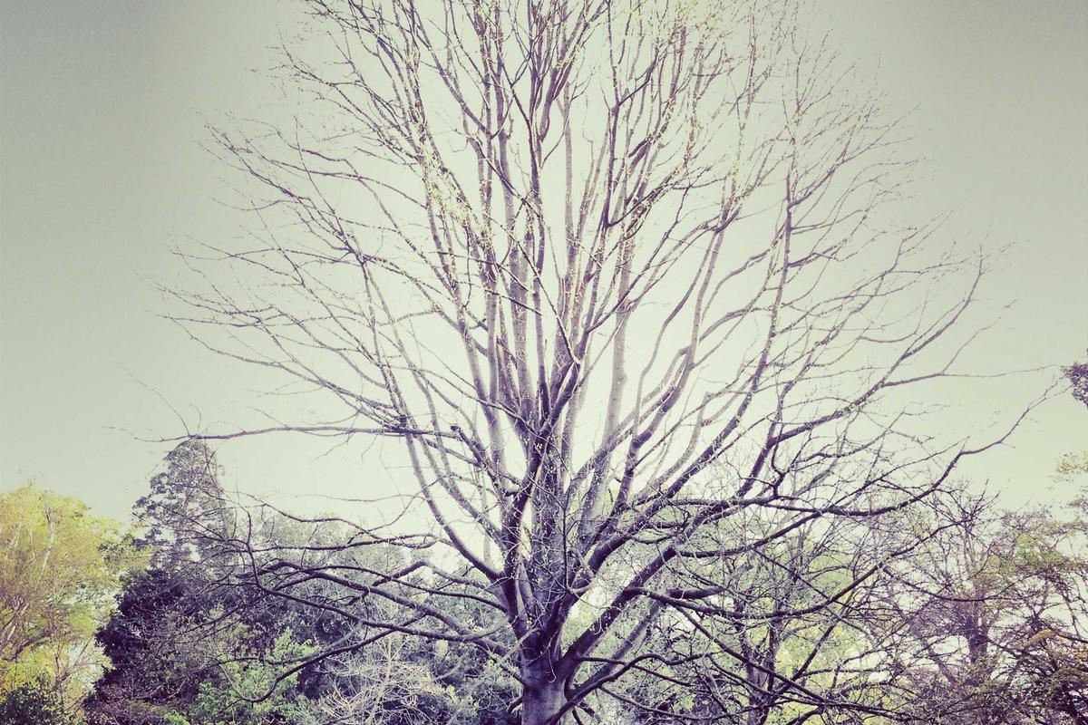 What Were the Main Accusations in the Grubhub Lawsuits?