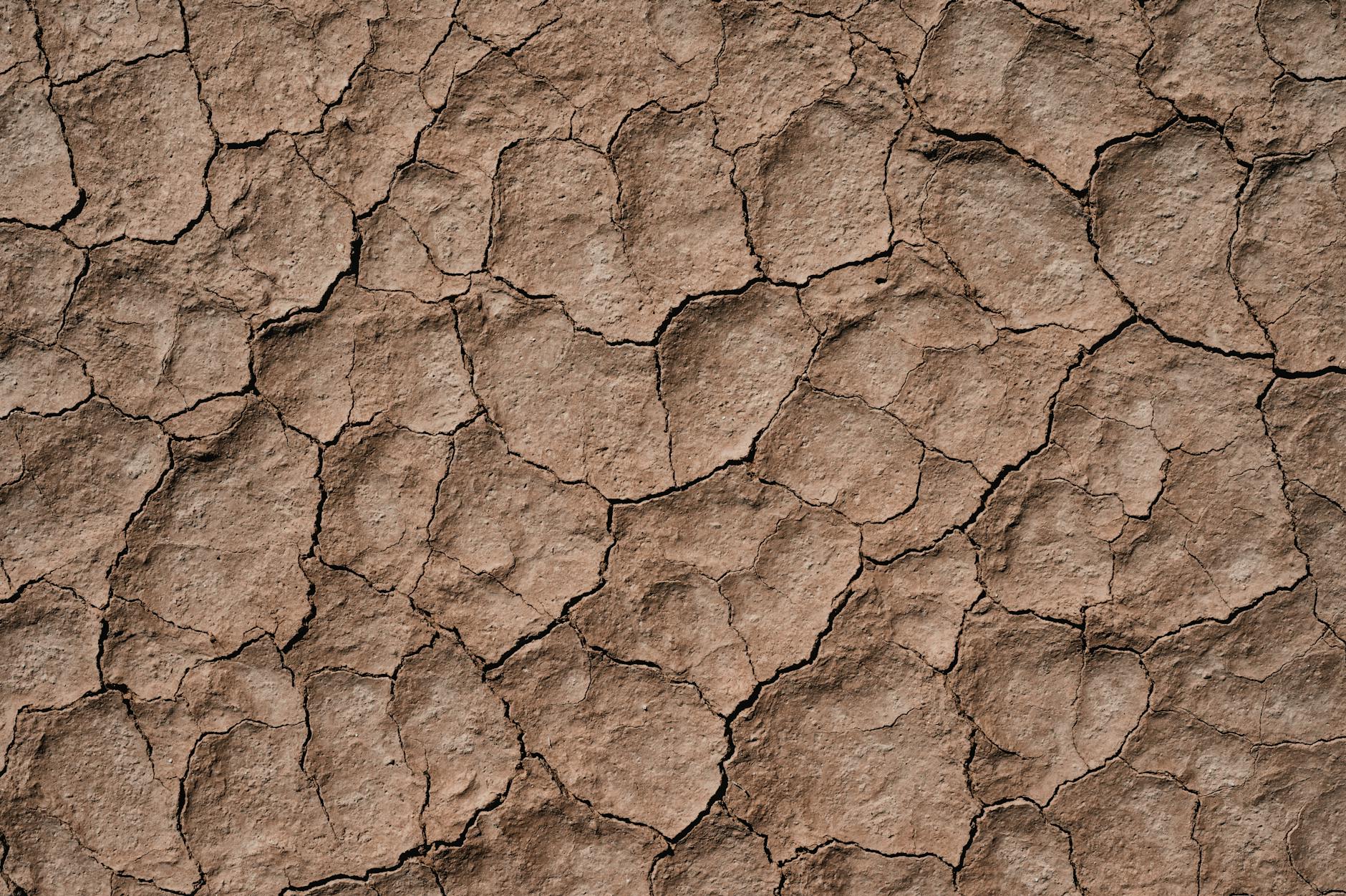 Health Complications That Transform Dehydration Into a Medical Emergency