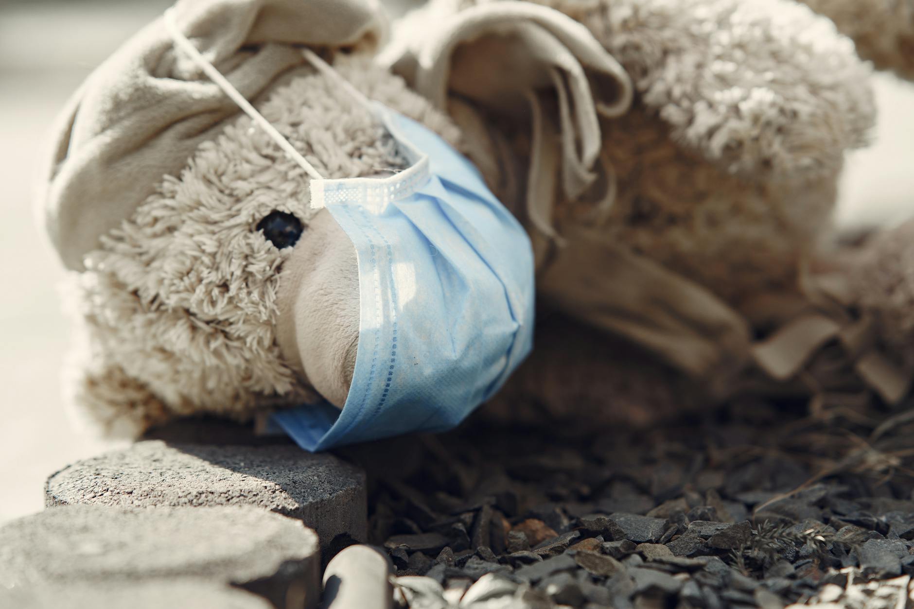 Infection, Organ Damage, and Catastrophic Injury Risks