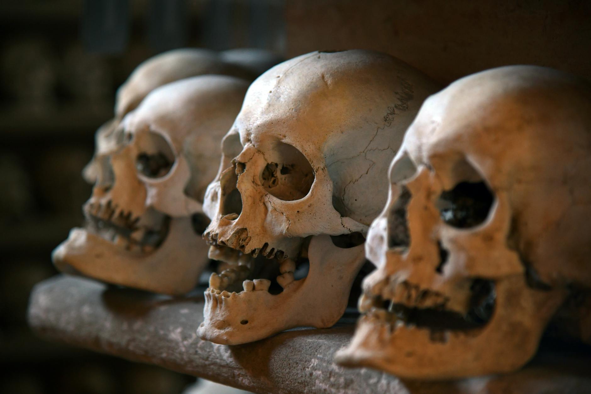 Mortality and Morbidity: Why Time Matters in Meningitis Treatment