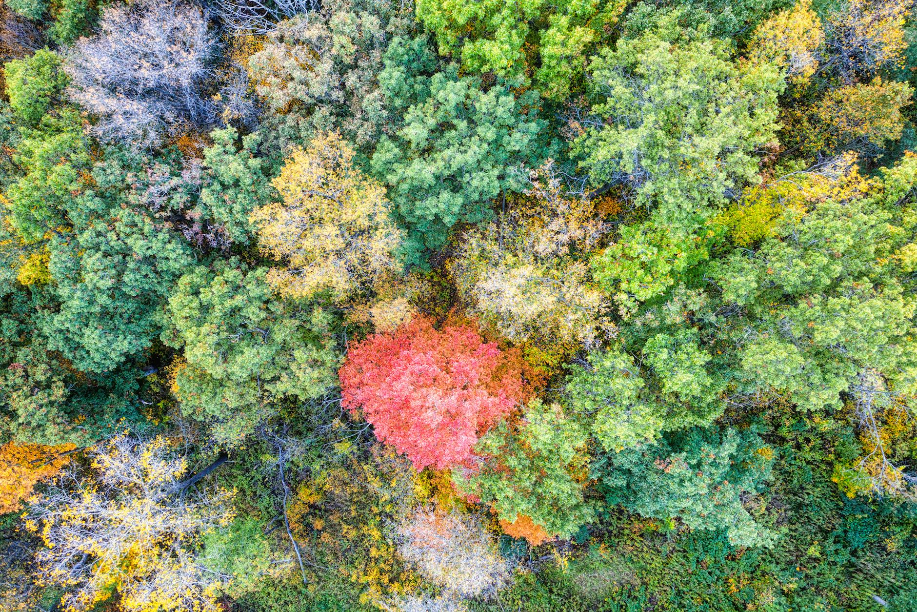 Recent High-Value Fall Verdicts and Settlements