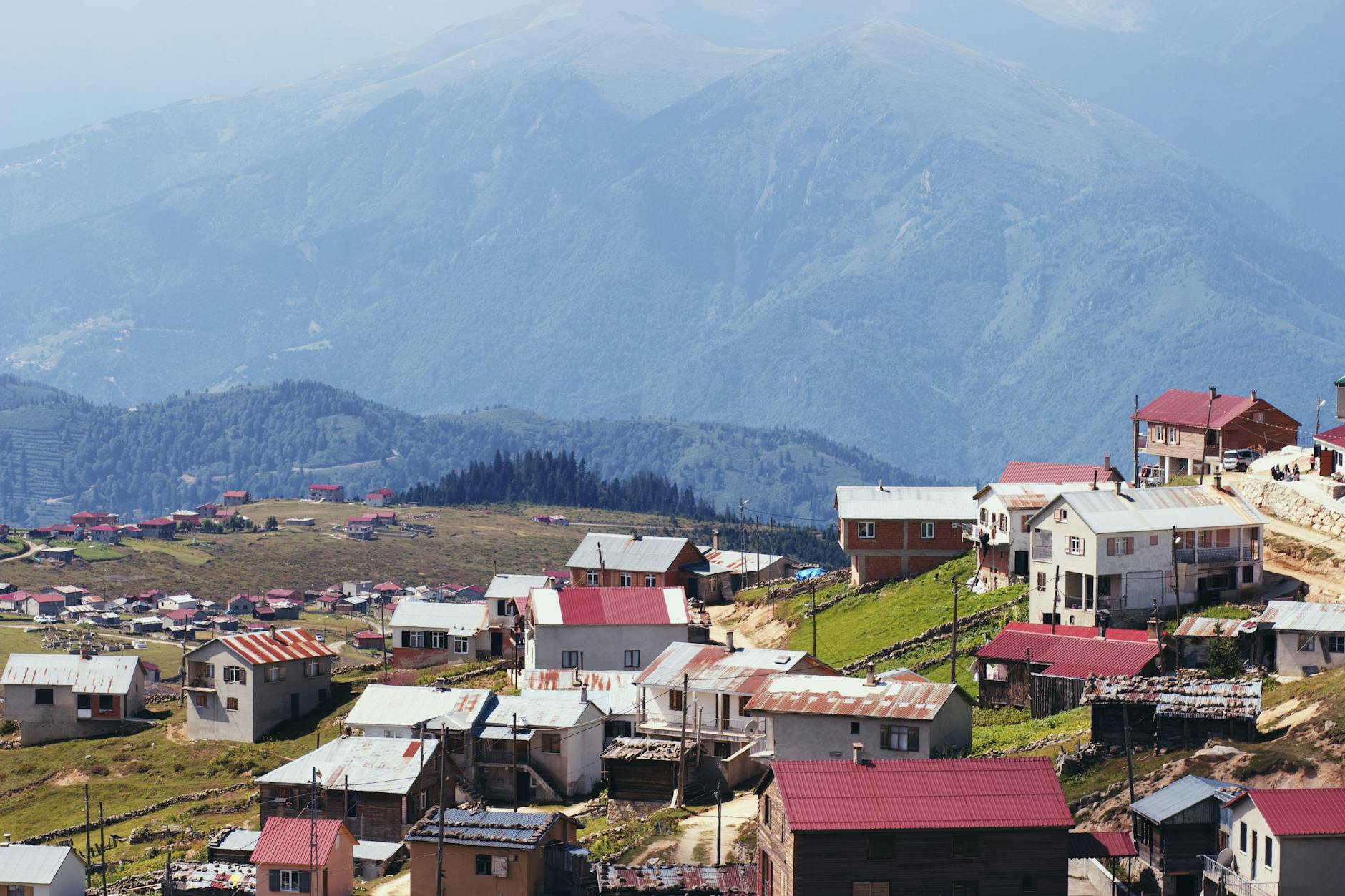 Recent High-Value Settlements and Their Outcomes