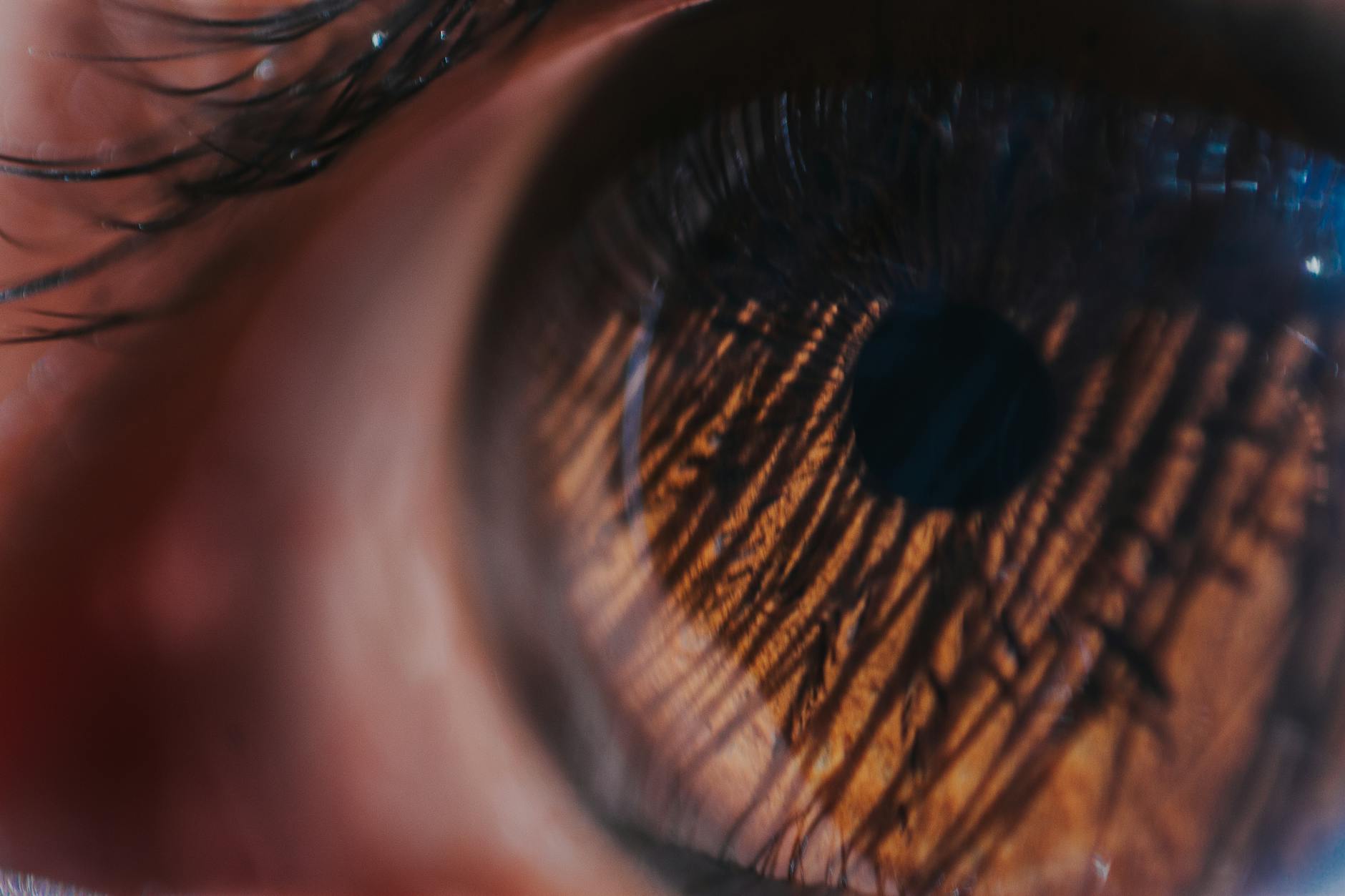 What Triggers a Corneal Transplant Lawsuit?
