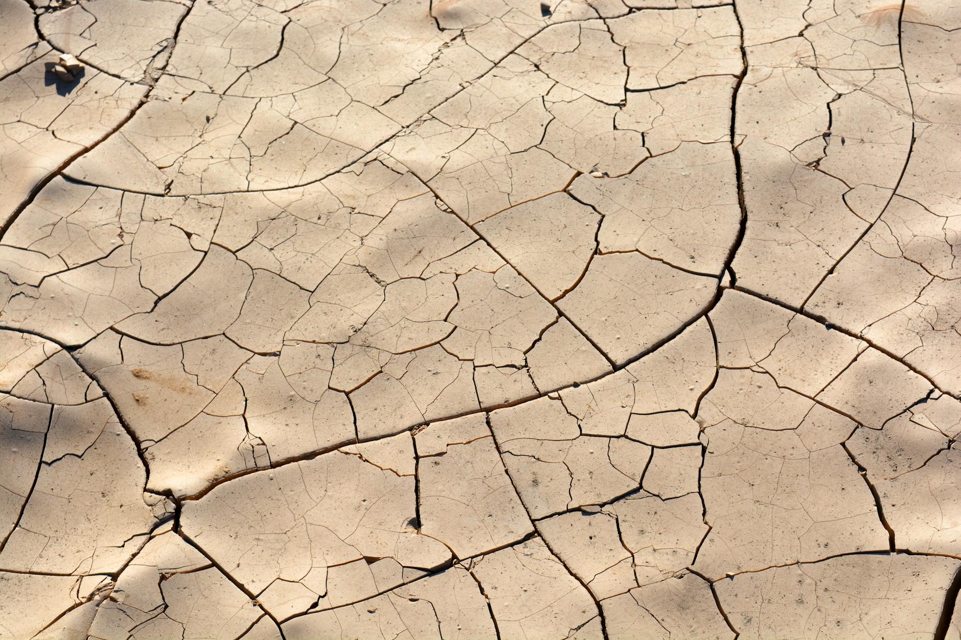 Why Is Dehydration Such a Common Problem in Nursing Homes?