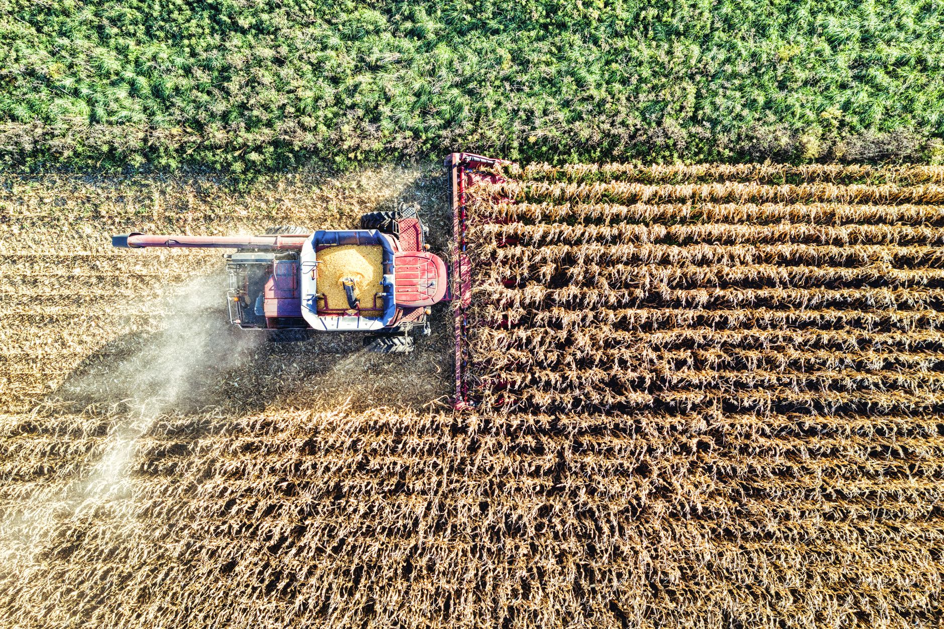 Farming Industry Celebrates High Court Decision on Herbicide Safety Today - Featured image