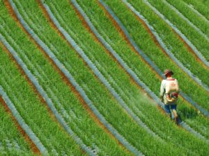 Glyphosate Herbicide Manufacturer Wins as Supreme Court Limits Health-Related Lawsuits - Featured image