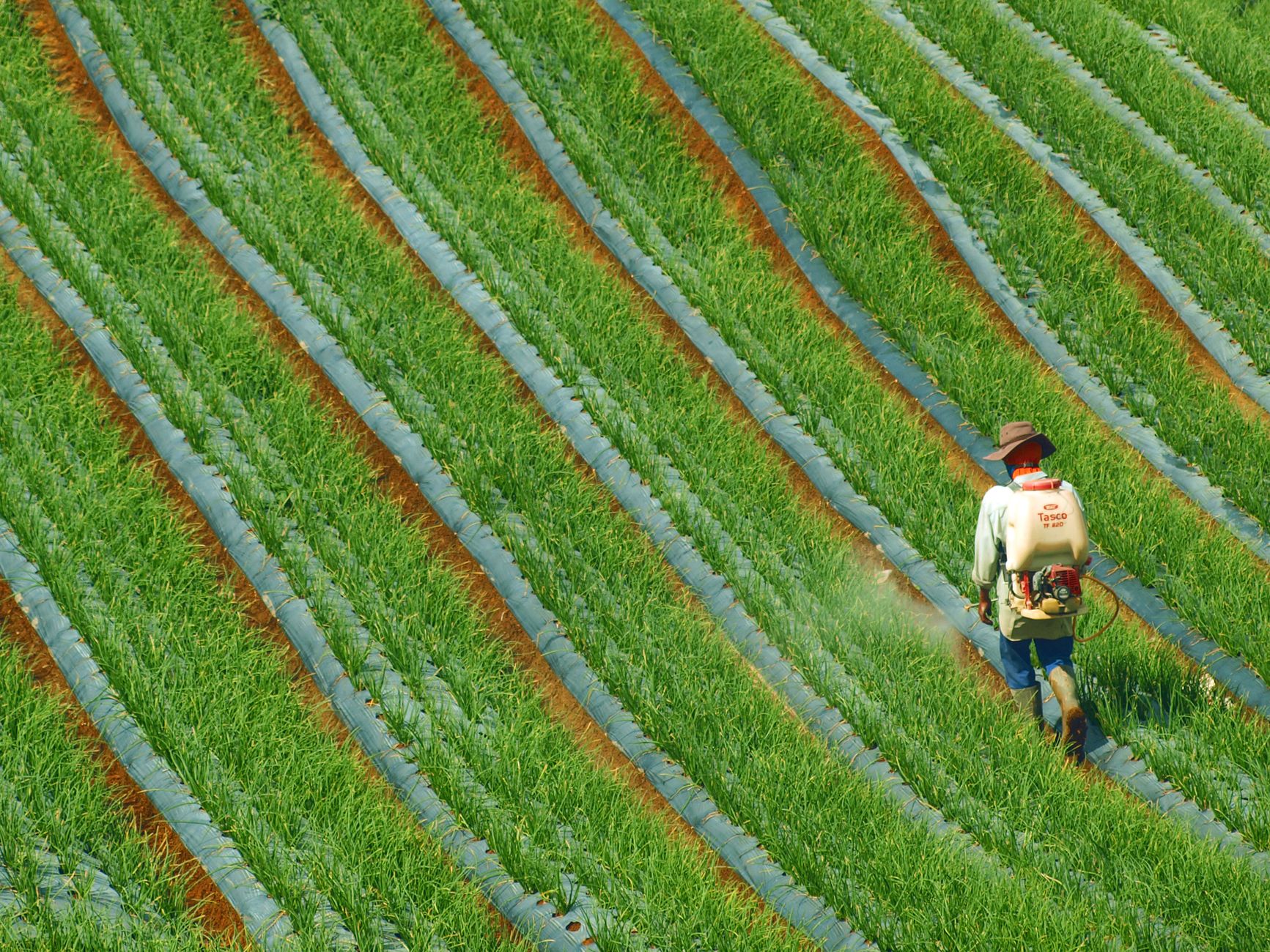 Glyphosate Herbicide Manufacturer Wins as Supreme Court Limits Health-Related Lawsuits - Featured image