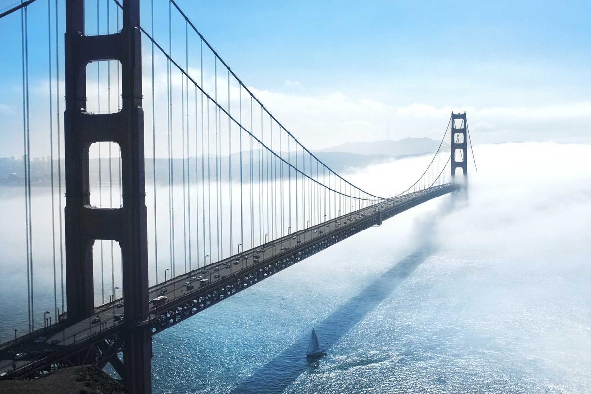 How Securities Fraud Claims Work in Biotech and Drug Trial Failures
