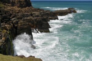 Point Wild Deal Signals Growth in Mass Tort Lien Resolution Market - Featured image