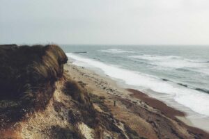 Reddit Securities Class Action Claims IPO Investors Were Misled About Platform Risks - Featured image