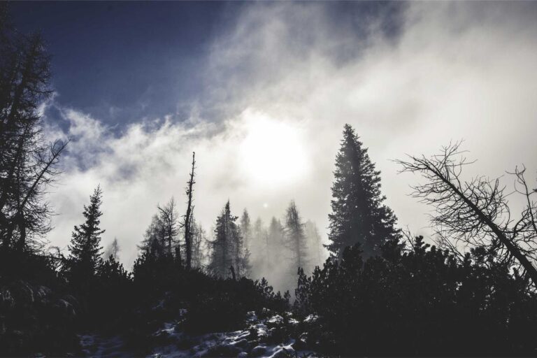 Snowflake Data Breach Class Action Claims Cloud Security Failures Harmed Customers - Featured image