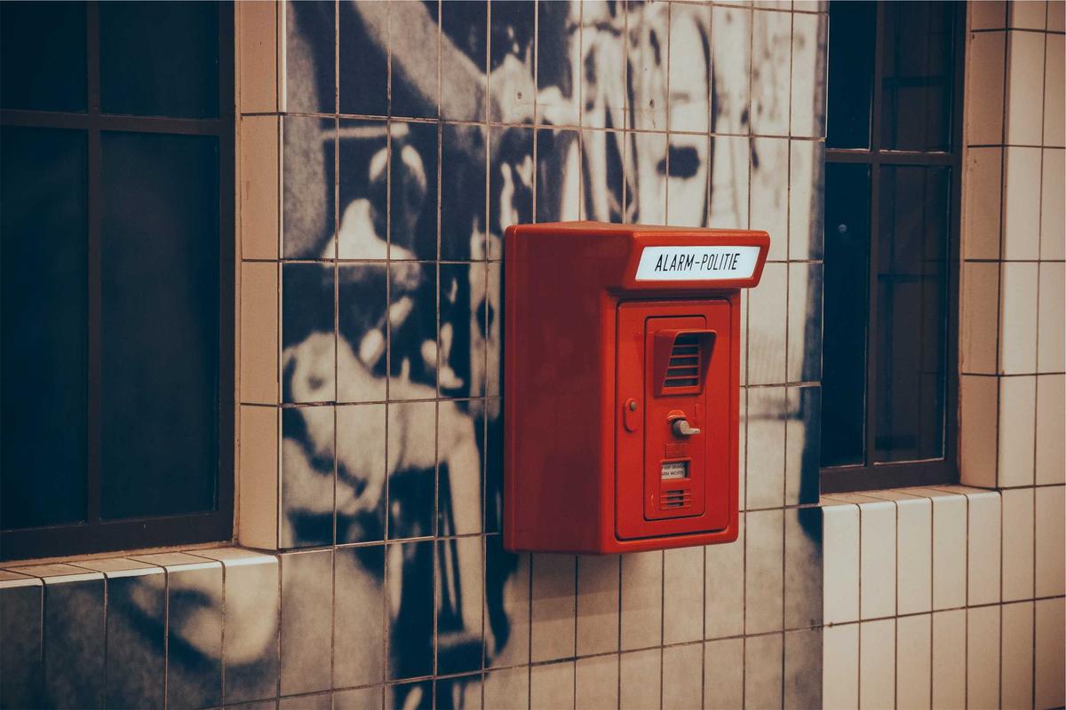 The Timeline of Token Promotion, Shutdown, and Investor Losses