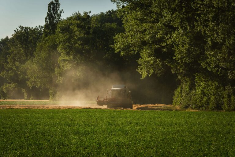 Understanding Glyphosate Safety: Does This Herbicide Cause Cancer or Lymphoma - Featured image