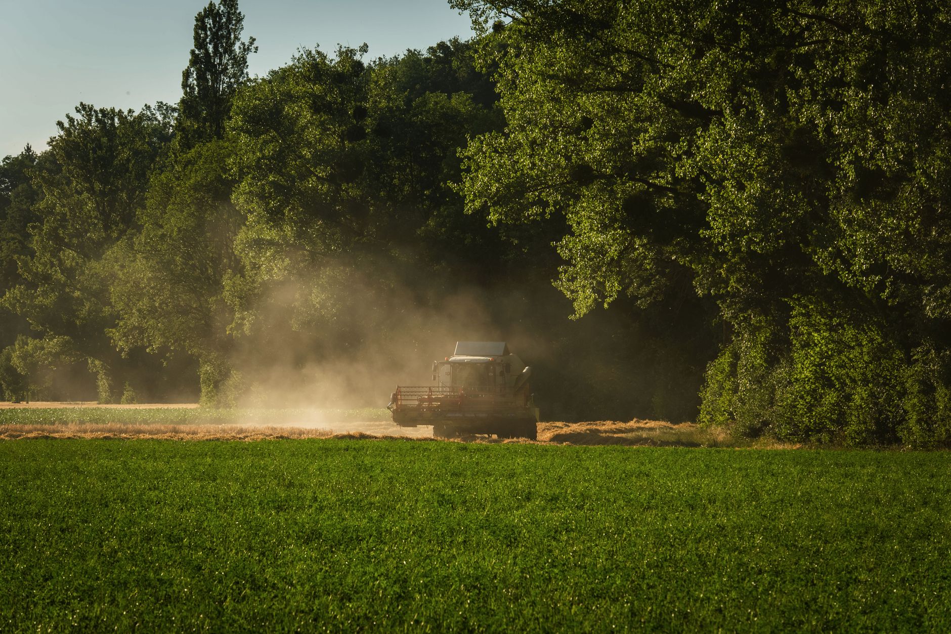 Understanding Glyphosate Safety: Does This Herbicide Cause Cancer or Lymphoma - Featured image