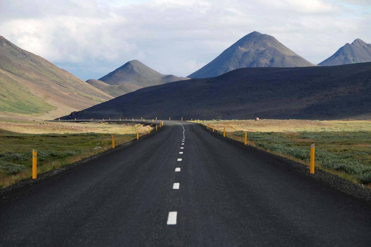 What Role Did Company Leadership Play and Why Did the CEO Resign?