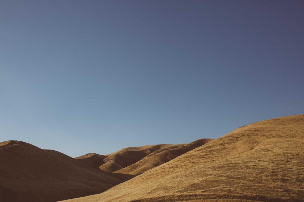What Warnings Should Investors Heed About Other Tech and SaaS Companies Making Similar Claims?