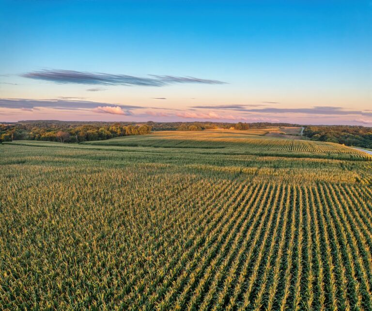 Wisconsin's $10M PFAS settlement: investing in water infrastructure and public health testing - Featured image