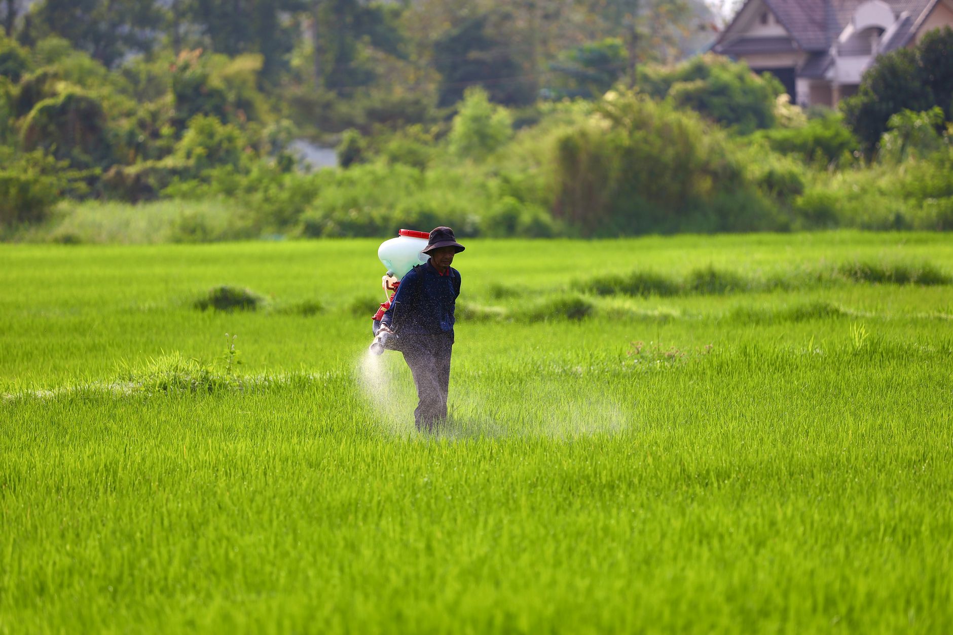 Bayer Roundup Class Settlement Faces Objections Over Future Cancer Claims - Featured image