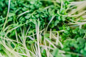 Sprouts Farmers Market Receipt Settlement Claims Customers Received Noncompliant Card Receipts - Featured image