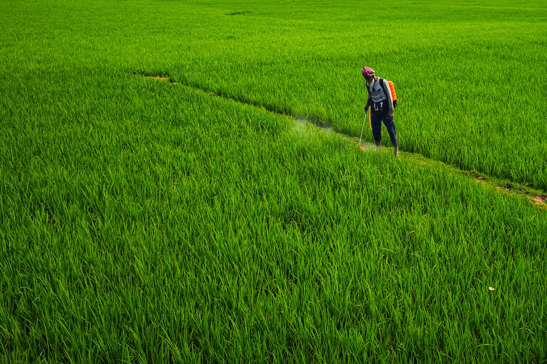 Monsanto Roundup Lawsuit Settlement Update for October 2026 - Featured image