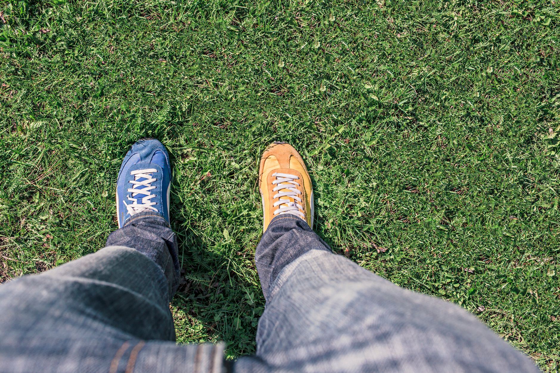 What Is the Difference Between a Mass Tort and a Class Action Lawsuit? - Featured image