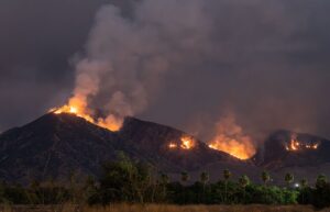 Wildfire Lawsuit vs Alternatives: Legal Paths Compared - Featured image